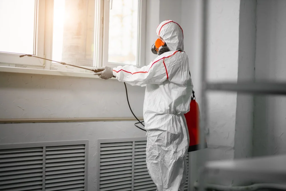 Professional mold remediation services in Matlock, WA